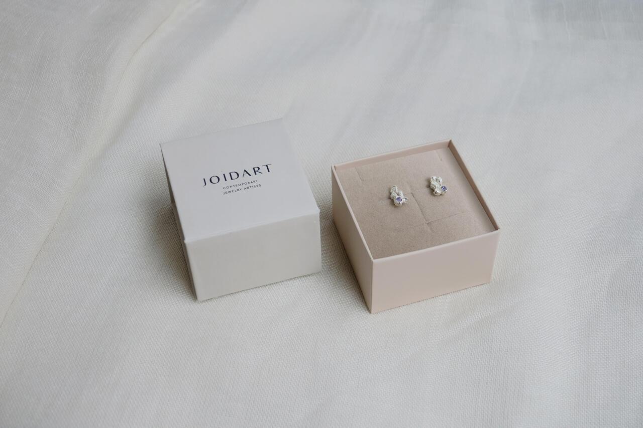 Earrings Arena Silver
