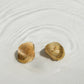 Earrings Onaria Golden