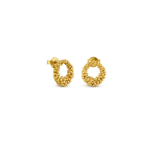 Earrings Stardust Golden