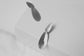 Earrings Euphorbia Silver