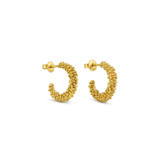 Earrings Stardust Golden